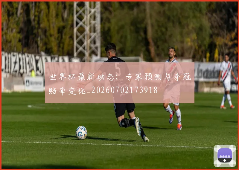 世界杯最新动态：专家预测与夺冠赔率变化_20260702173918