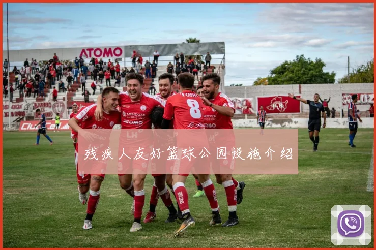 残疾人友好篮球公园设施介绍