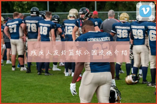 残疾人友好篮球公园设施介绍